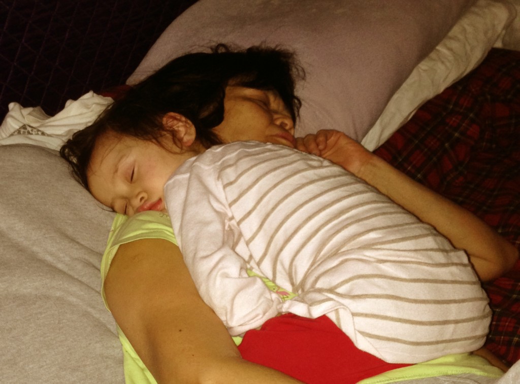 Lola the surrogate pillow